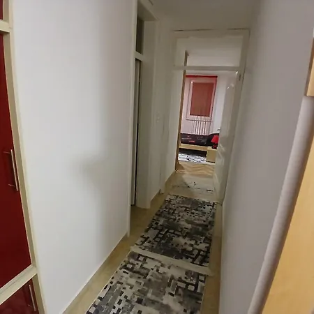 Stan Na Dan-vasilije