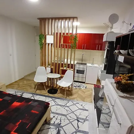 Stan Na Dan-vasilije Daire