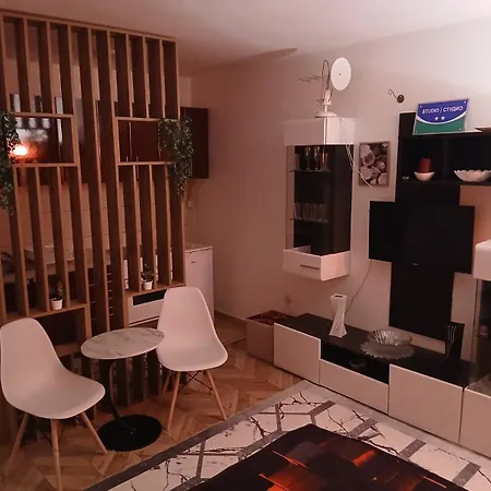 Stan Na Dan-vasilije